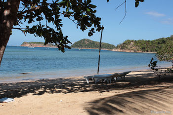Cashew Grove Beach Resort Busuanga Extérieur photo